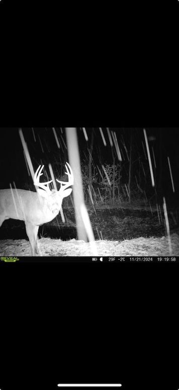 Screenshot 2026-01-09 at 12.43.29 PM