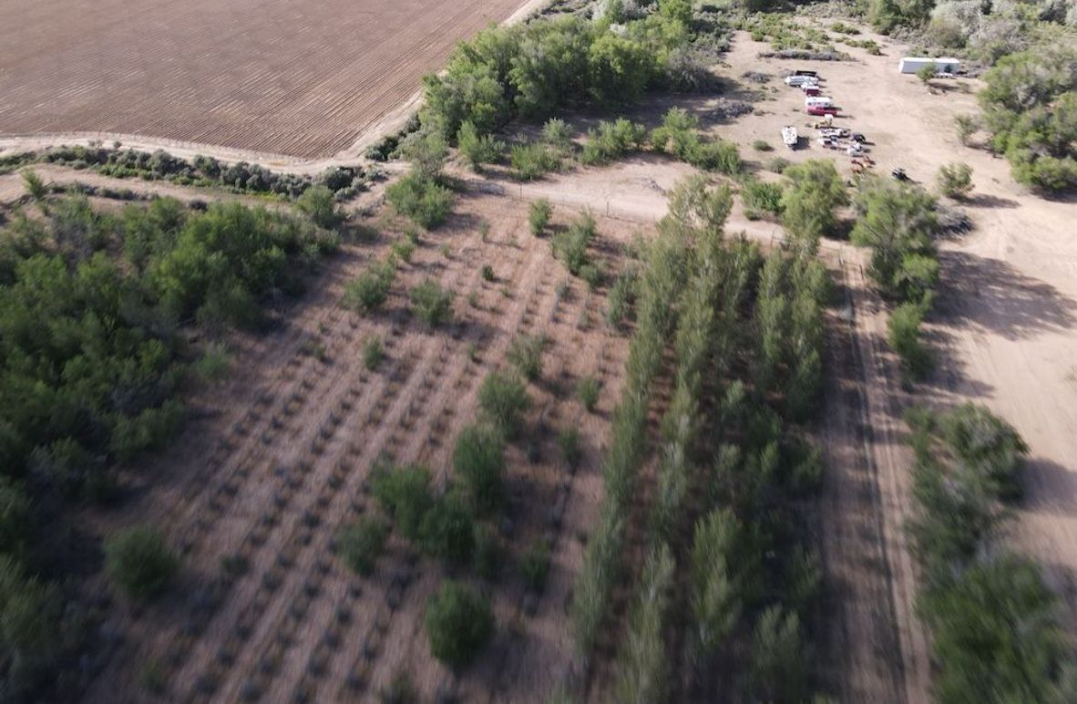 DJI_0668