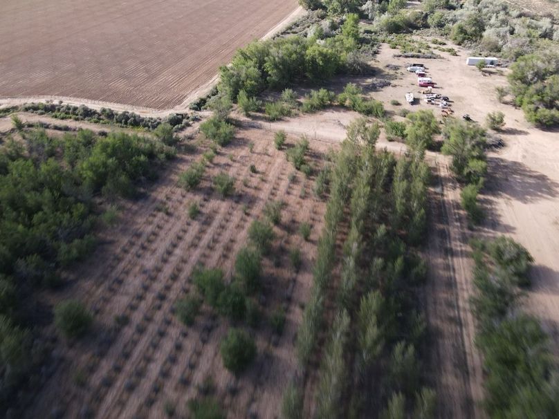 DJI_0668