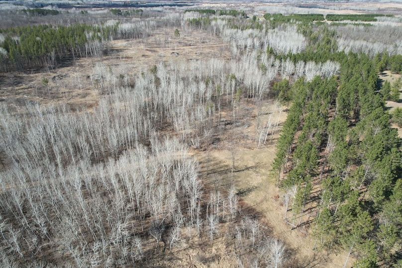 dji_fly_20260415_161630_166_1776287995337_photo