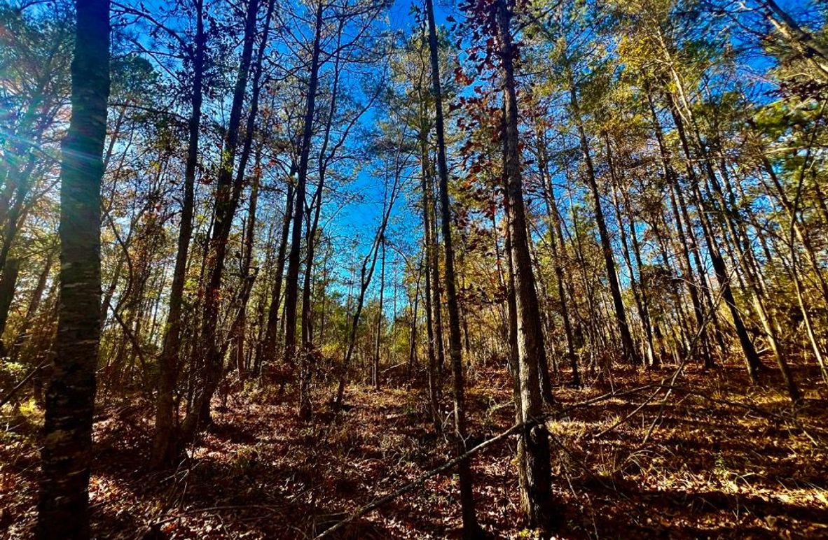 3F886430-F86F-4F09-BBB2-F16375AB8937_1_201_a