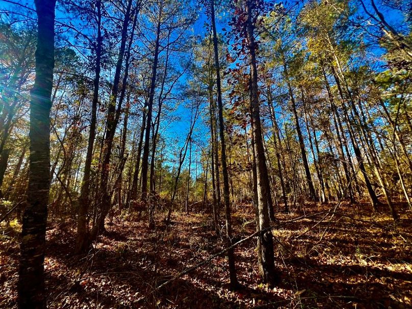 3F886430-F86F-4F09-BBB2-F16375AB8937_1_201_a