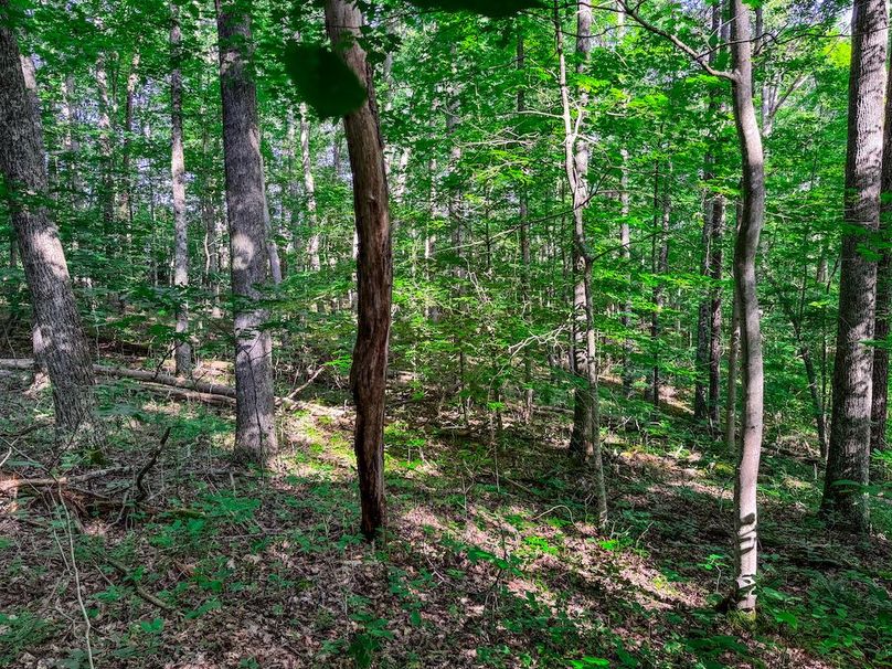 Ritchie, WV 20 AC Thompson-07