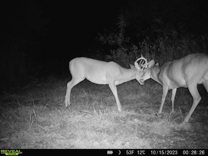 860322065128164-10-3-10152023002826-V-W1003679