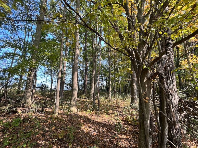 Yates_29_Stape Photo 12