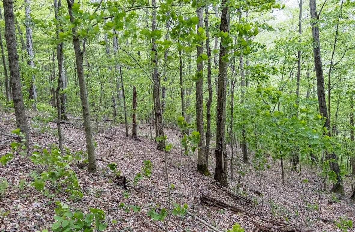 Copy of APC_9433-hdr