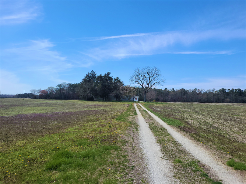 115.68ac_HarmonyRd_PIC_004