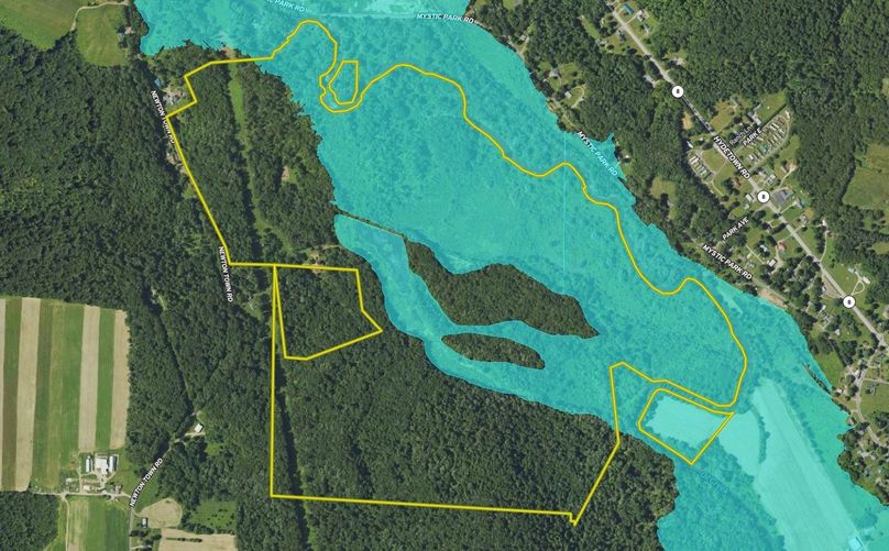 Screen Shot 2024-03-04 at 3.59.07 PM