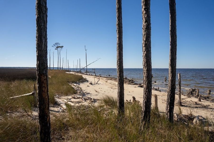 Carteret NC 7,500 Featured Pro Photo-3
