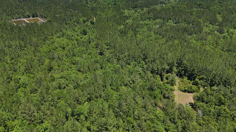 DJI_20240516124649_0028_D