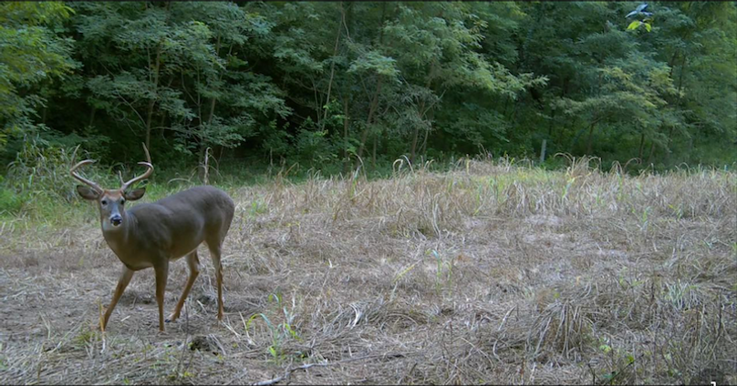 Screenshot 2025-09-24 at 2.50.55 PM