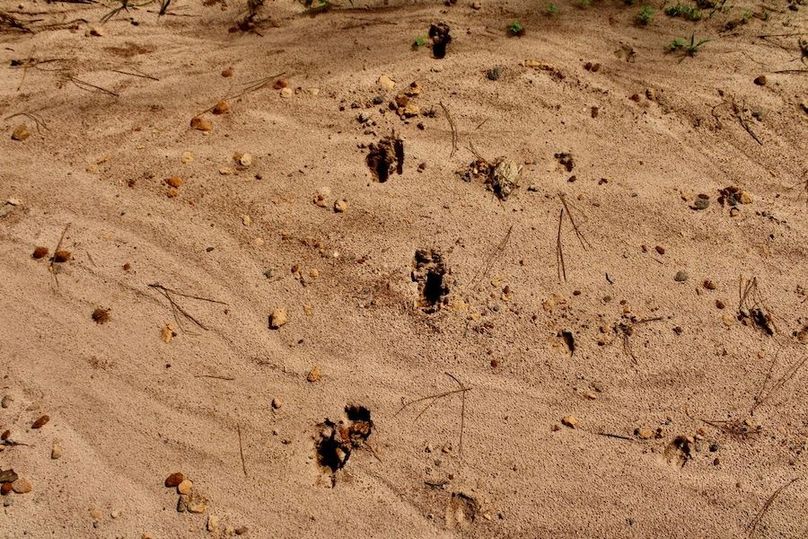 4348A9CB-ACBC-40ED-9D25-2539FFFC4290_1_105_c