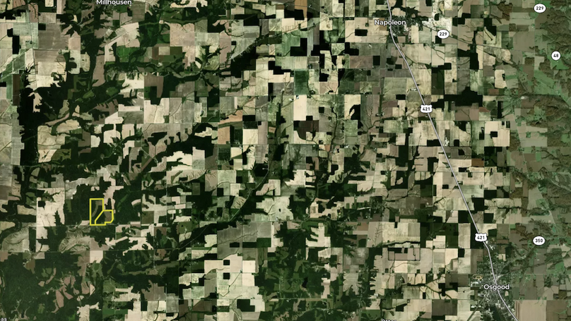 Screenshot 2025-08-07 084402