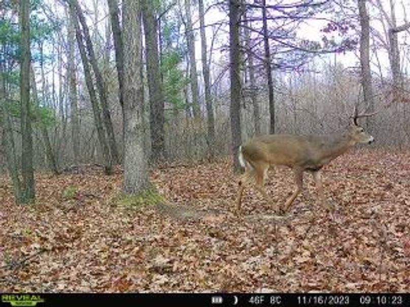 cf25d157-2dd6-435e-a7b3-836719d10994