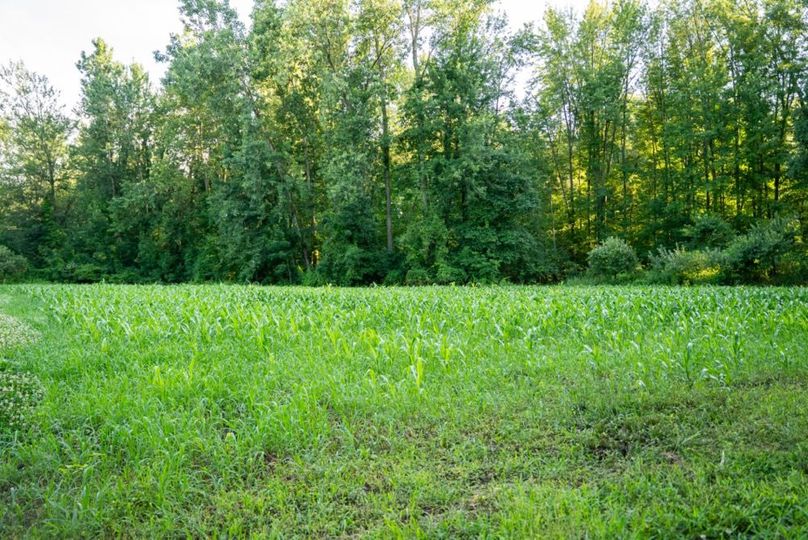 LivingstonMI41.75-179