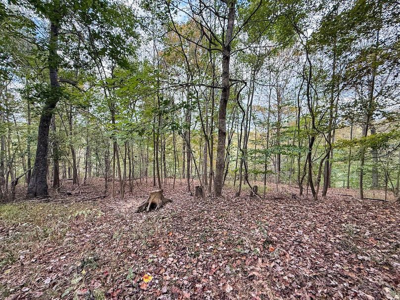 Greenup 77.28 Holsinger-37