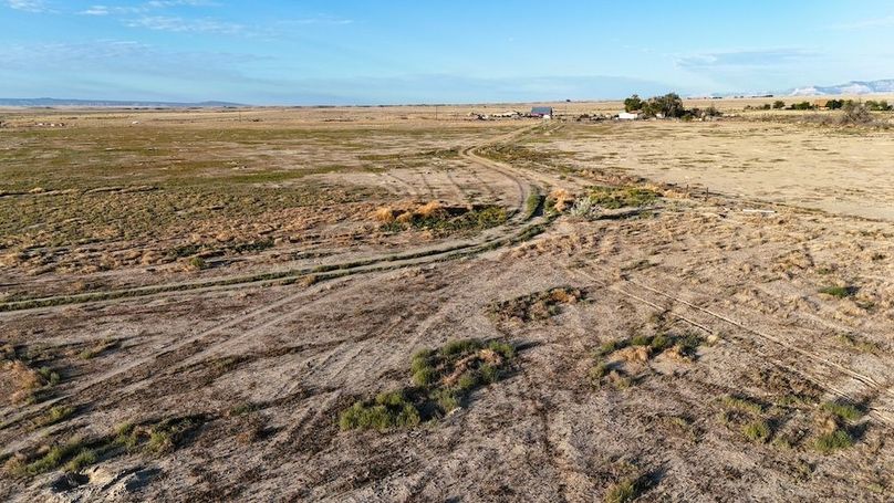 DJI_20240810073252_0185_D