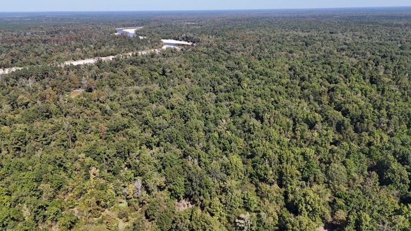 dji_fly_20251015_010858_0060_1760476858794_photo