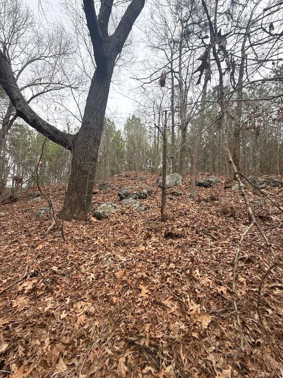 DJI_20260303_131222_261