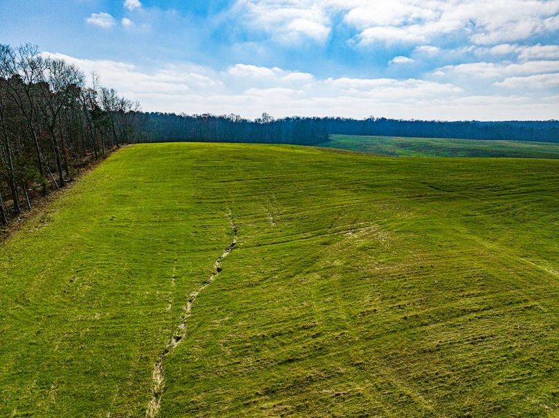 Henry 137 Miller-31-2