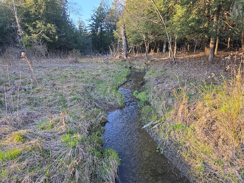 photo_5c3ca3e3-78cd-48d5-a44a-e65adc7485f8