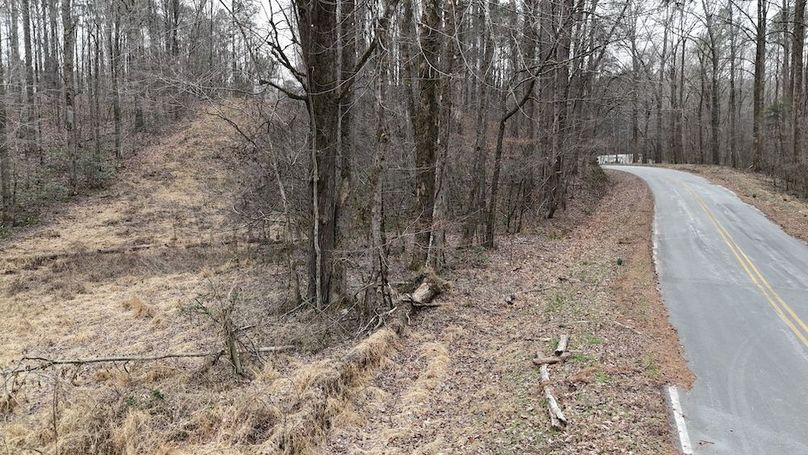 dji_fly_20260225_113716_0126_1772037651412_photo