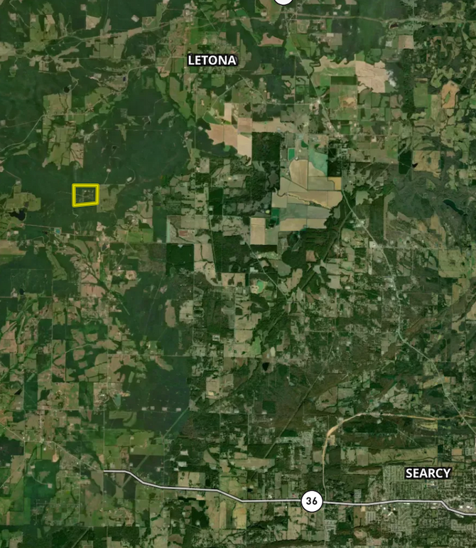 Screen Shot 2024-03-06 at 11.47.33 AM