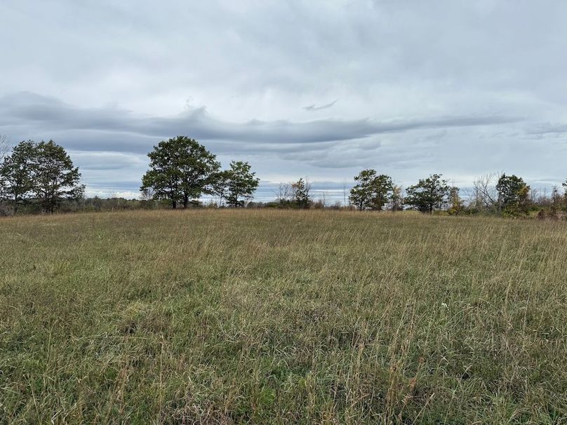 Chemung_184.12_Sterling 37