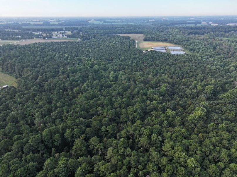 DJI_20250904075228_0020_D