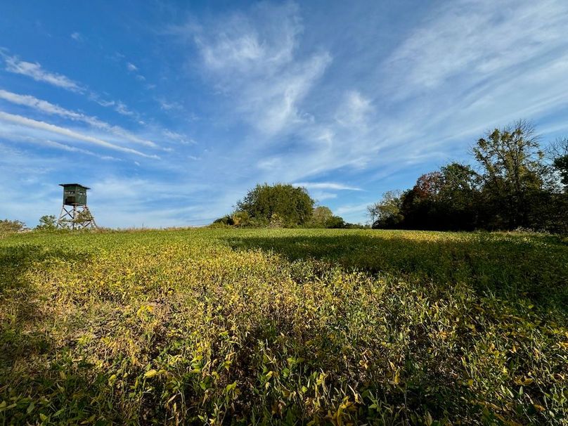 Richland 199Ground - 16