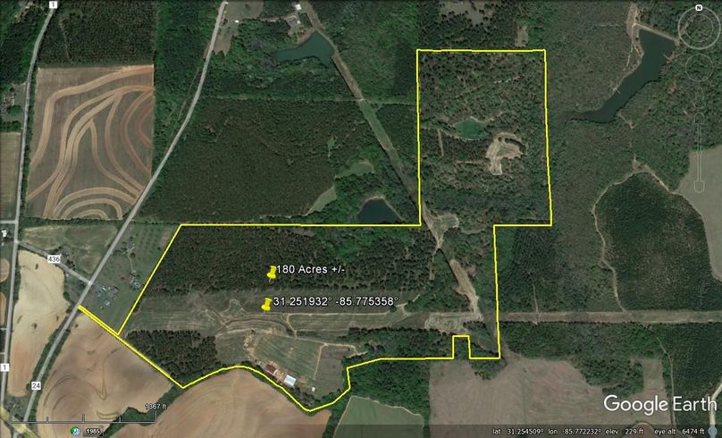 Aerial #1 Approx. 180 Acres Dale County, AL