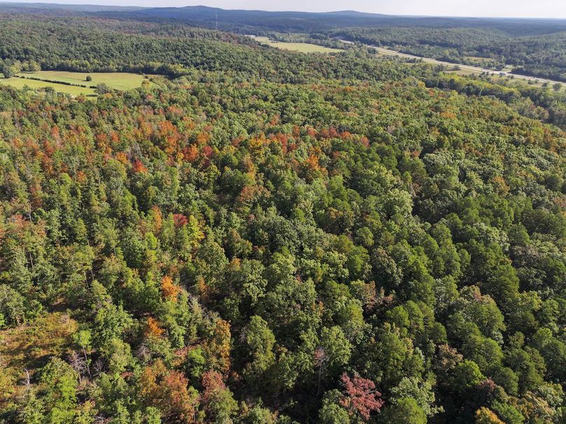 DJI_20250925100447_0701_D