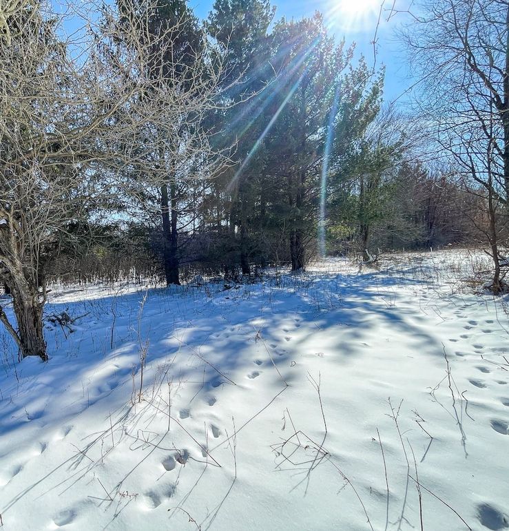 Portage 13.596, Van Asten-6