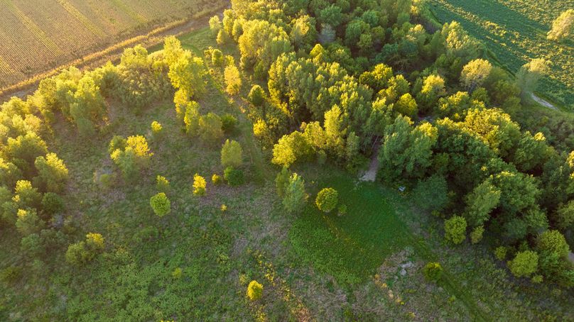 DJI_0113-HDR