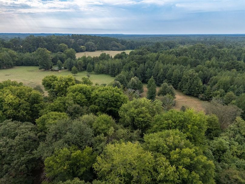 8 Jefferson 117ac - bethard-05