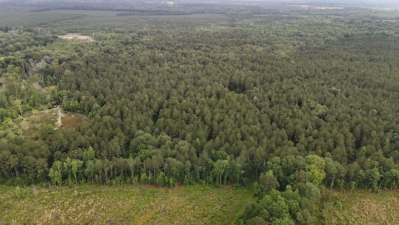 Copy of DJI_20250529224835_0538_D