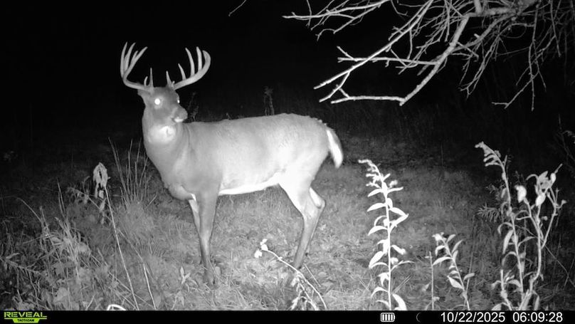 016579000676812-77-4-10222025060928-V-SYFW02142