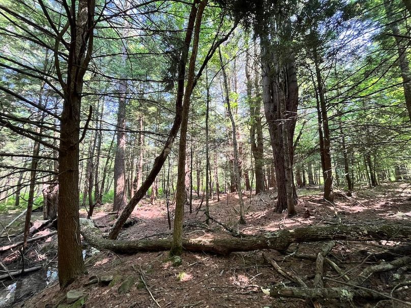 Oswego_24_Frank Photo 23