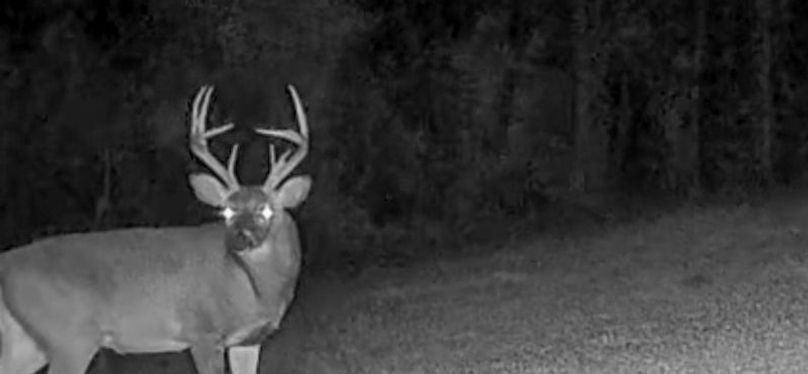 Claiborne Co - 274 - Marian-009