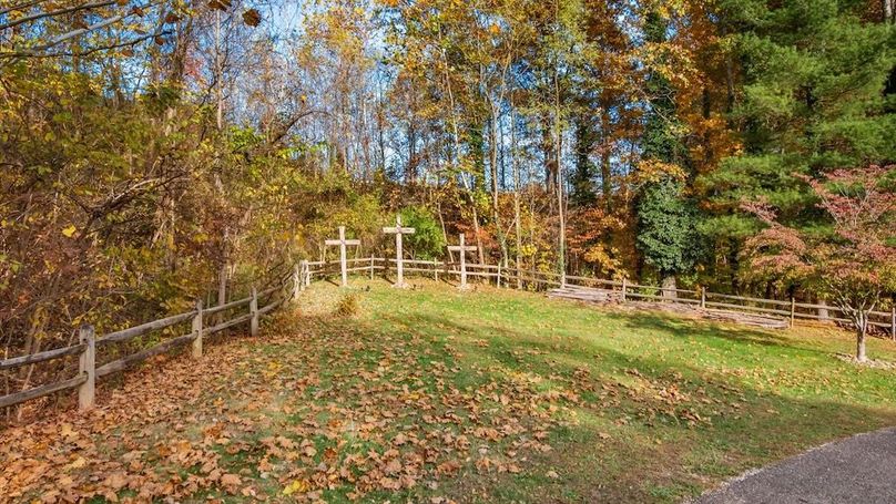 77-z 46585 Morning Star129-2