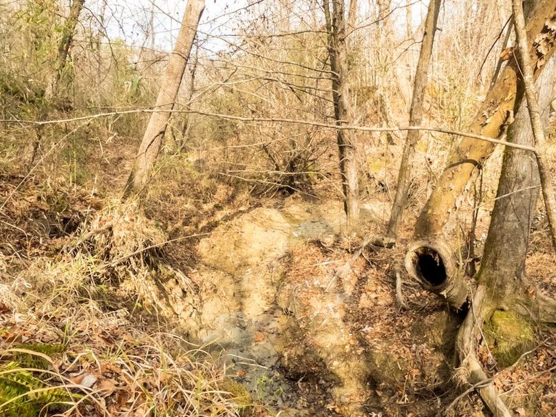 Yazoo Co - 75 - Batton-26