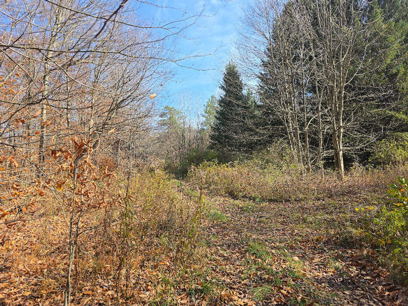 photo_e6162f5d-ed96-44c5-8b09-96673bccdbd6