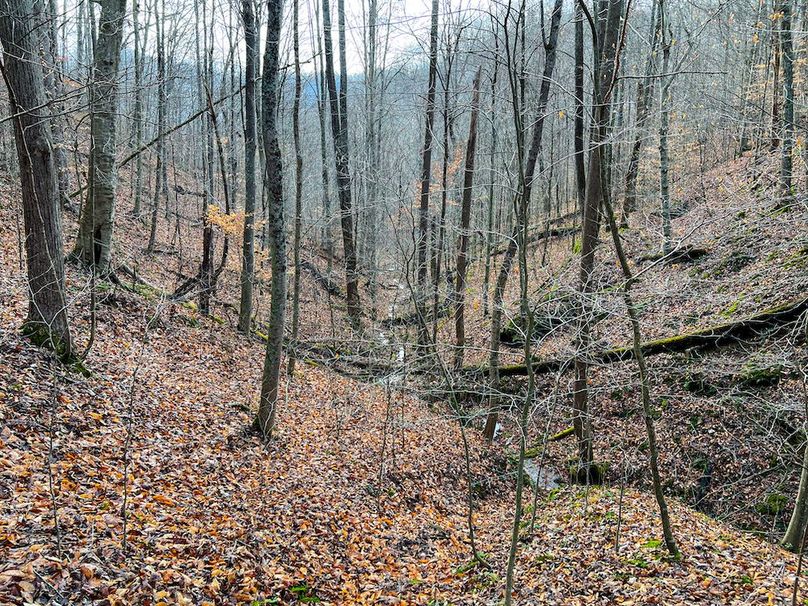 Calhoun, WV 225.69 AC Duffield-74