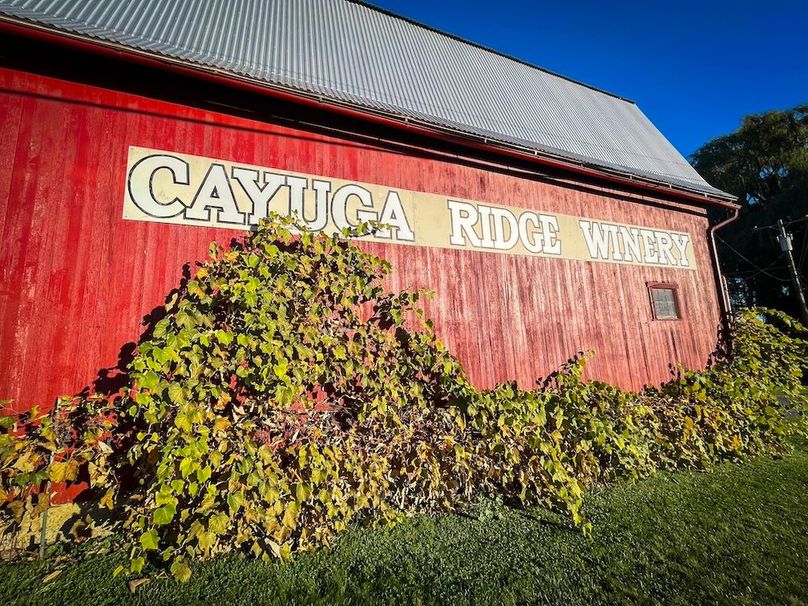 Seneca_15.2_Cayuga Ridge WInery Photo 27