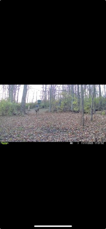 Screenshot 2026-01-06 at 4.33.00 PM