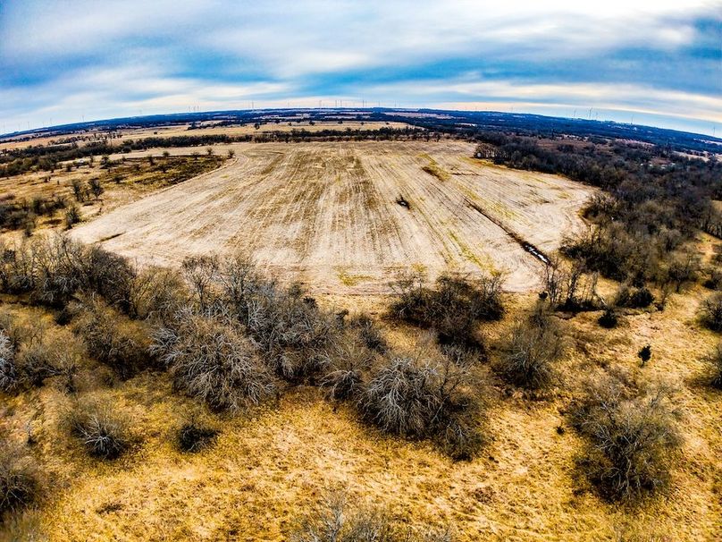 DJI_20260119091505_0671_D