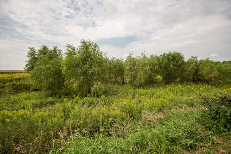 ATCHISON CO MO 31.47_11