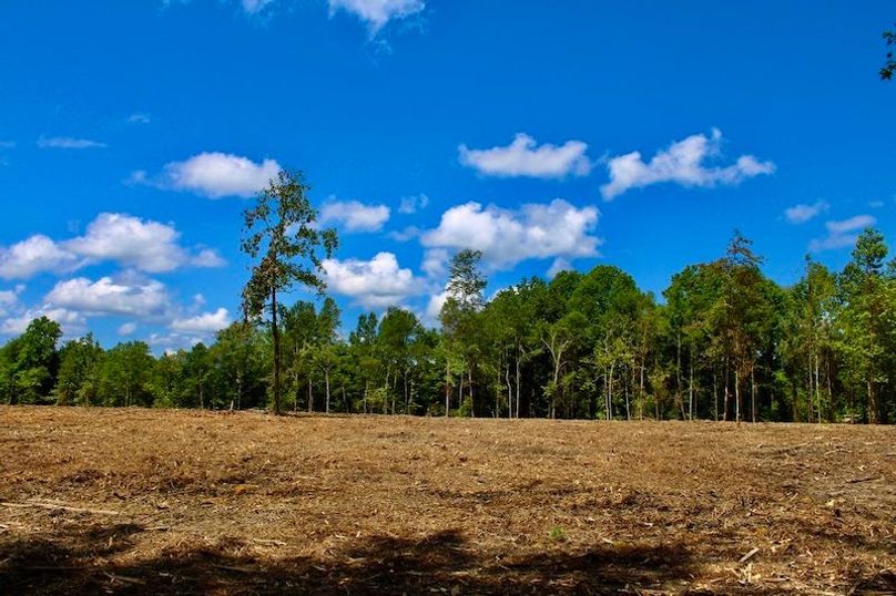 C3B9253B-F03C-43B1-82DE-0B271FDDCD0C_1_105_c