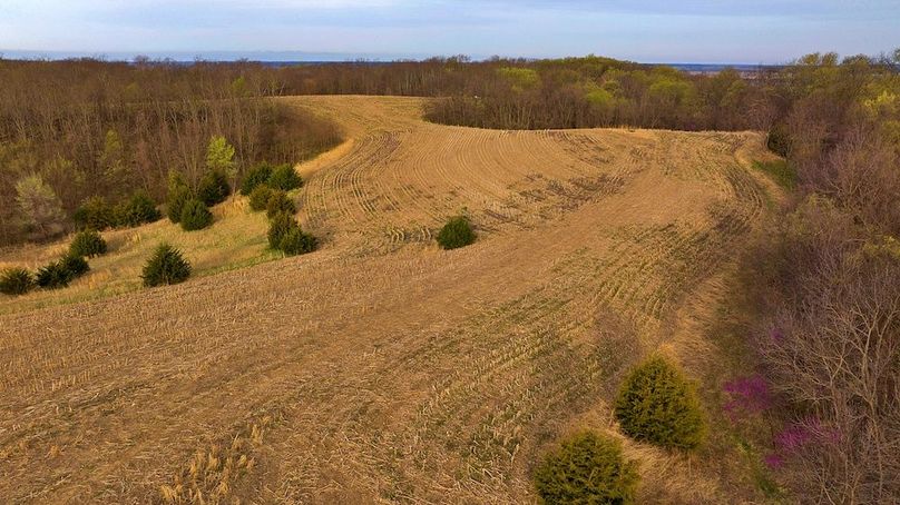 DJI_20250331081159_0633_D