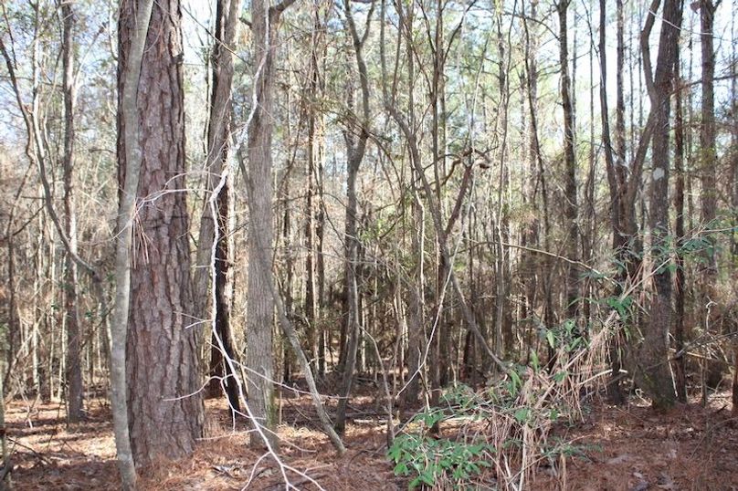 D4FBD13D-357C-4B42-80A8-54FC1F45D5C8_1_105_c